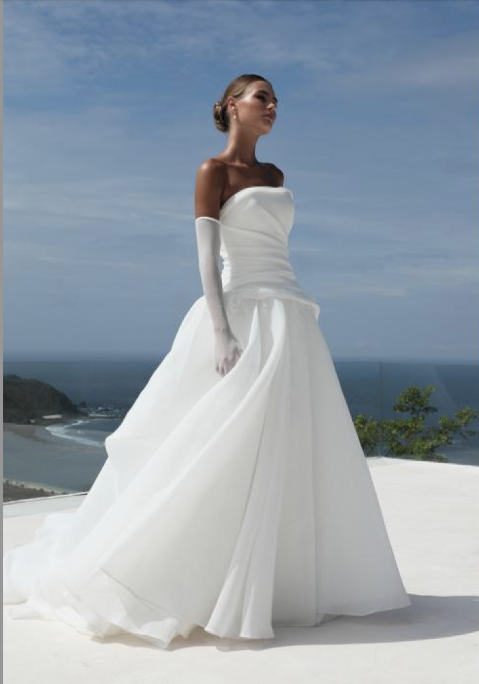 Model is wearing a ball gown wedding dress with a dropped waist and floral motifs