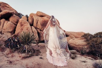 Rue de Seine Sale Palm by Rue De Seine #3 haze thumbnail