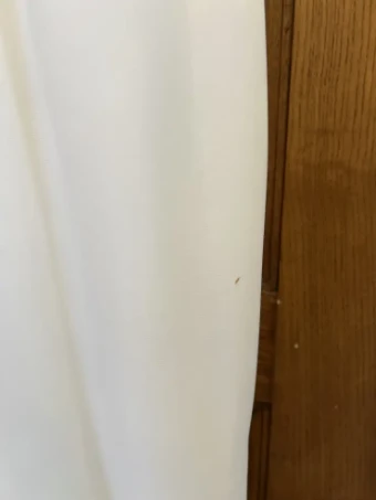 MWL Sale Mila Crepe by MWL #7 Ivory thumbnail